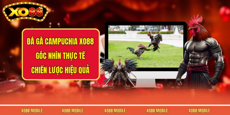 Đá Gà Campuchia