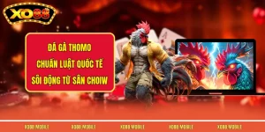 Đá Gà Thomo